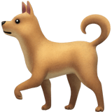 dogs